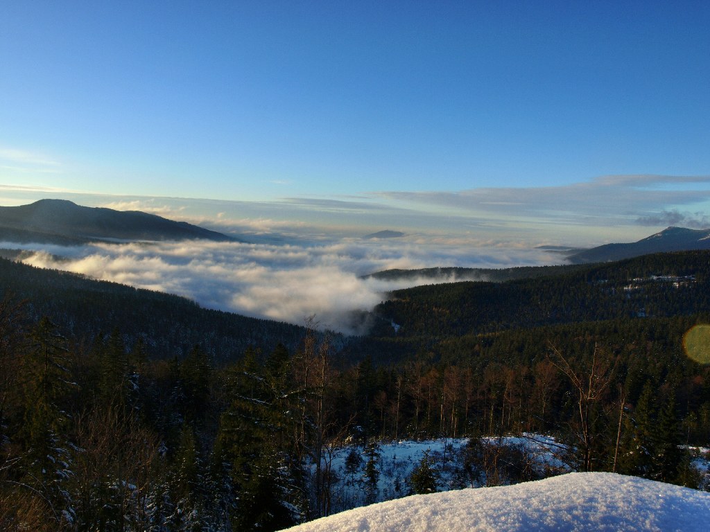 http://www.bayerwaldwandern.de/dezember08/13dez08_07.jpg