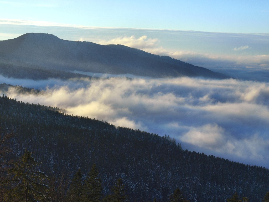 http://www.bayerwaldwandern.de/dezember08/13dez08_10.jpg