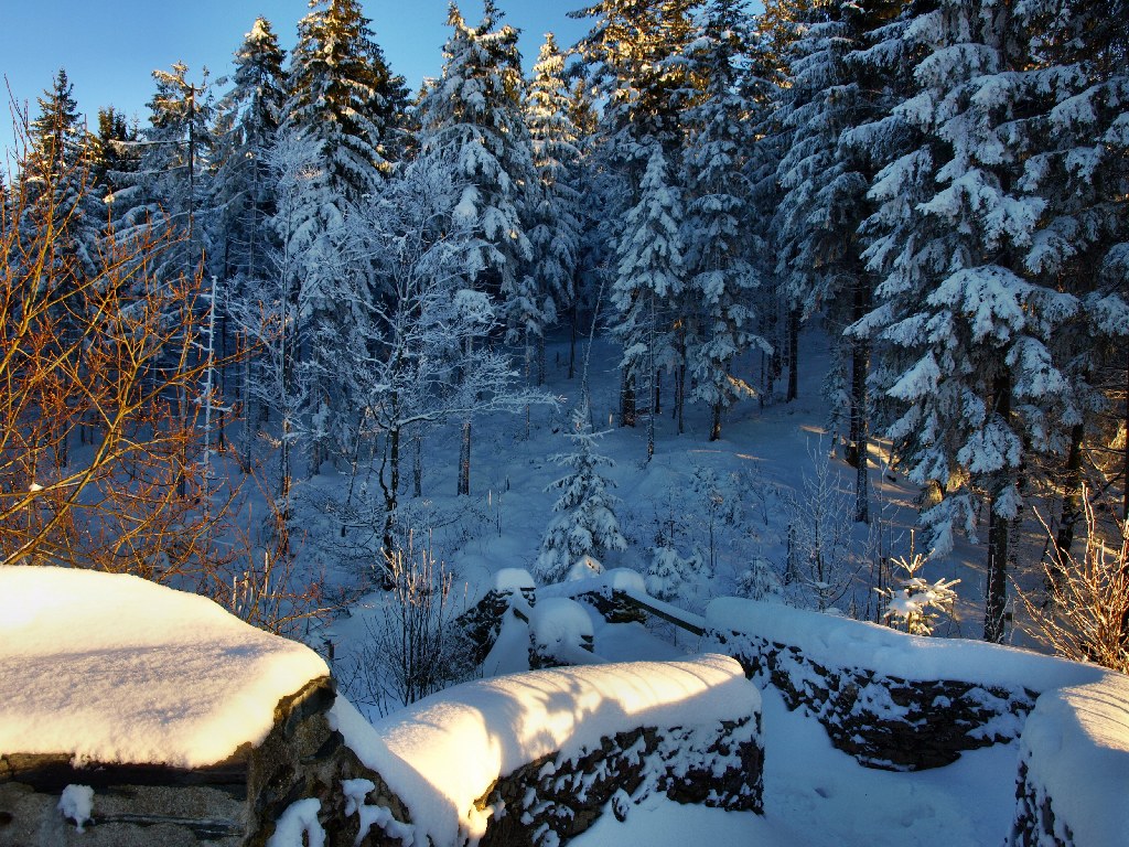 http://www.bayerwaldwandern.de/dezember08/13dez08_13.jpg