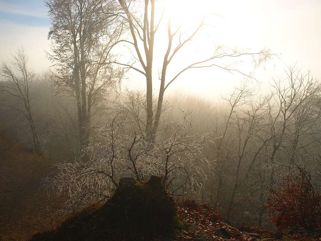 http://www.bayerwaldwandern.de/november11/24nov11_16.jpg