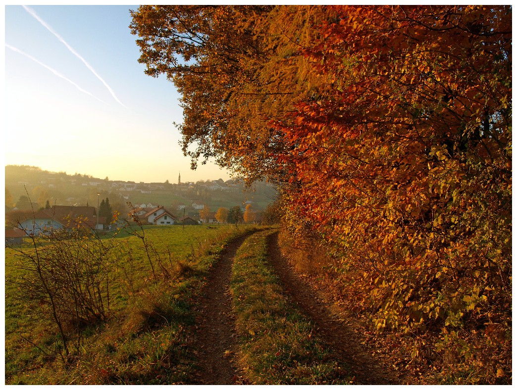 http://www.bayerwaldwandern.de/oktober10/31oktober10_34.jpg