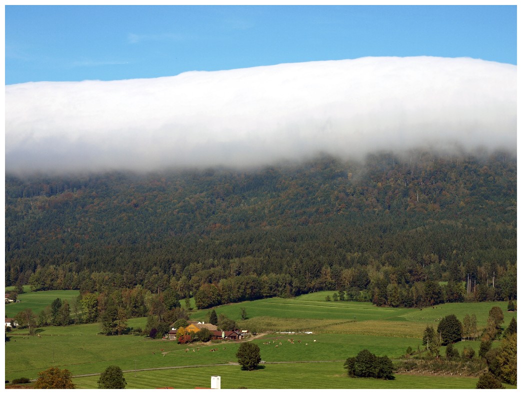 http://www.bayerwaldwandern.de/oktober10/3okt10_06.jpg